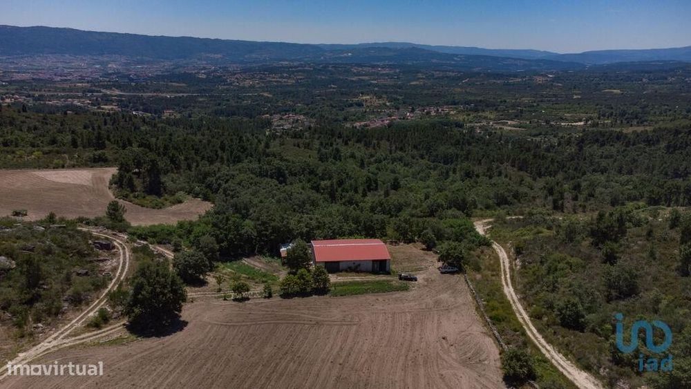 Terreno em Santa Cruz/Trindade E Sanjurge de 55000,00 m2