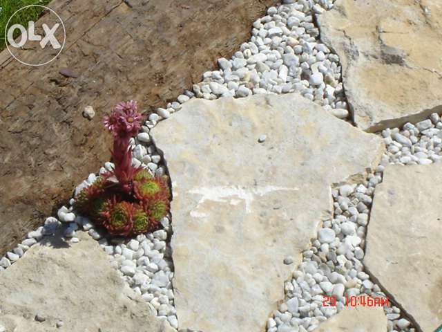 Żwir Kwarcowy Biały 32mm+ (nadziarno) inne kruszywa dekoracyjne