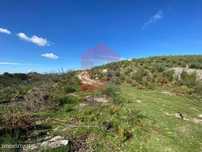 Terreno florestal, Valdreu