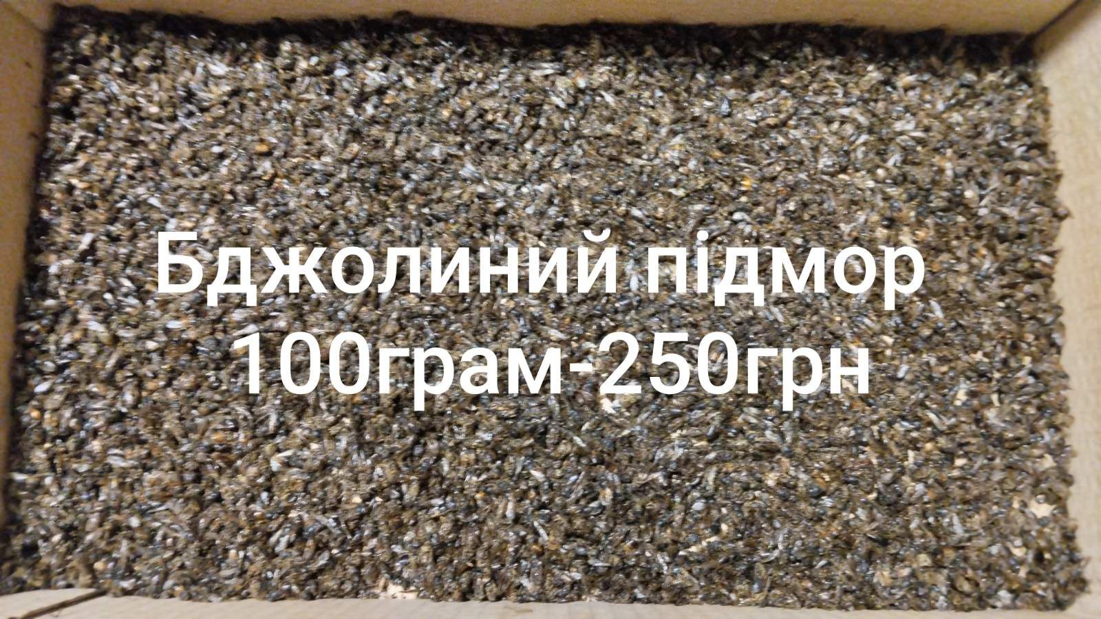 Бджолиний підмор, гомогенат,прополіс
