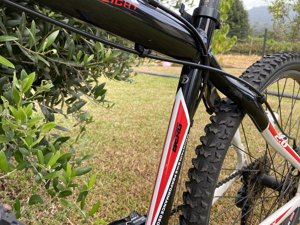 Bicicleta Montanha Berg Vertex 2.0