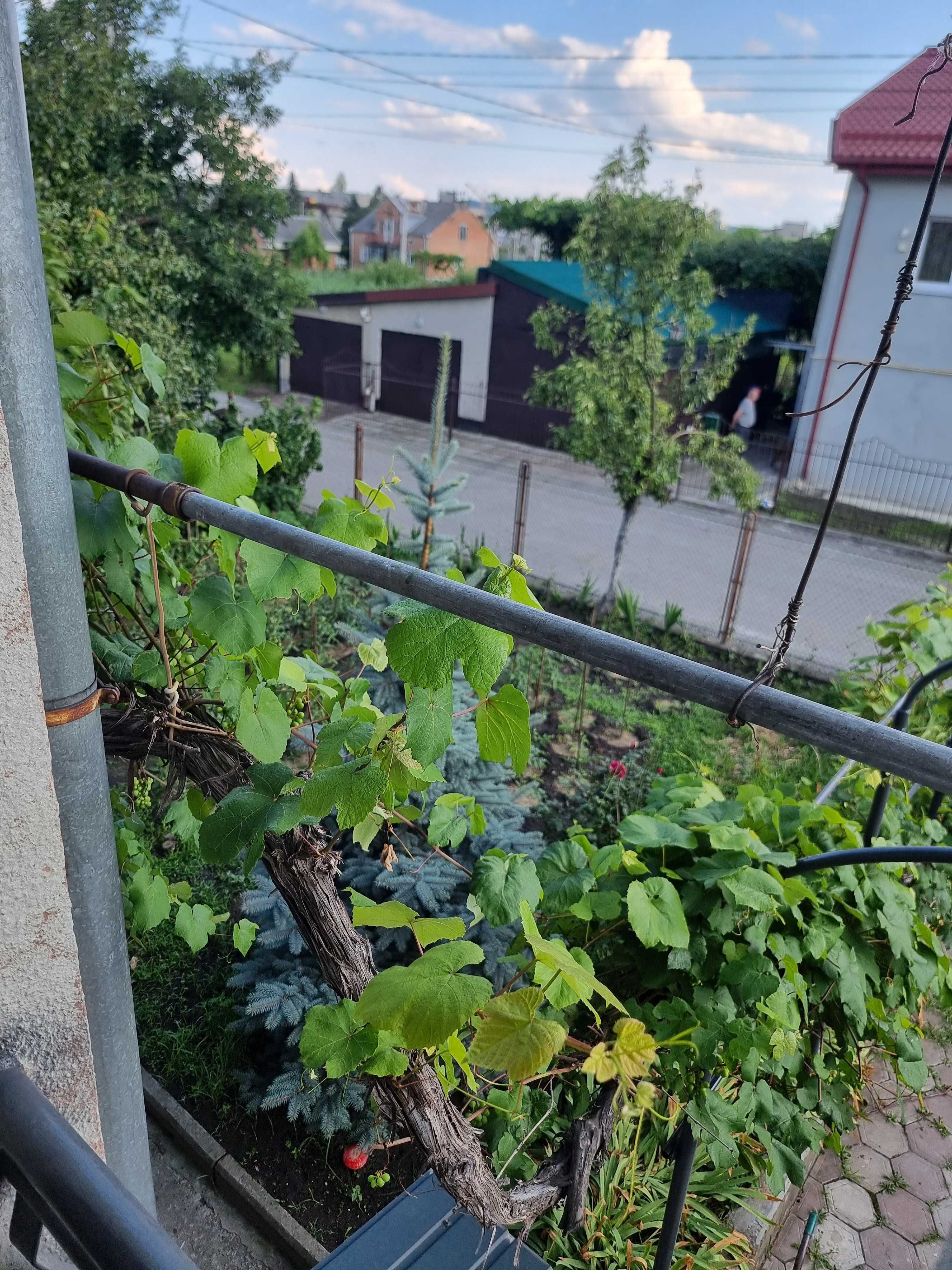 Оренда квартири Муроване