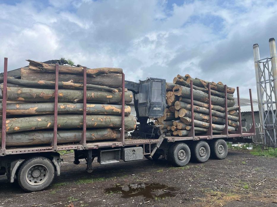 Дрова твердих порід! Дрогобич, Трускавець,Стебник, Борислав, Східниця