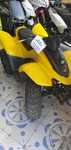 Mini Moto 4 Dinli T-Rex 110cc