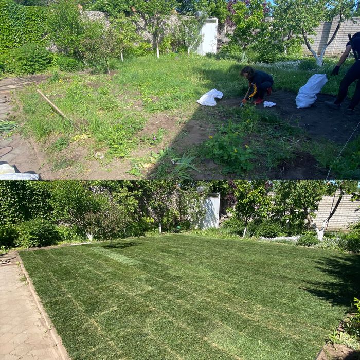 Рулонний/Посевной газон под ключ