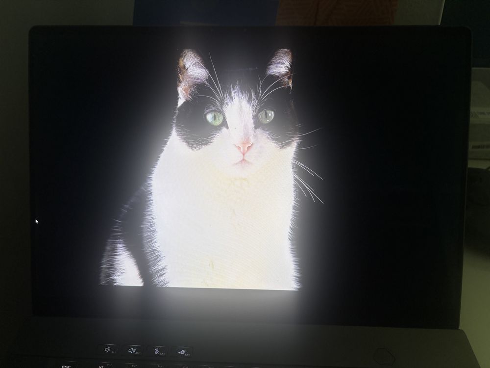 Portatil Rog Zephyrus G16 32gb RAM RTX 4060 OLED 240hz
