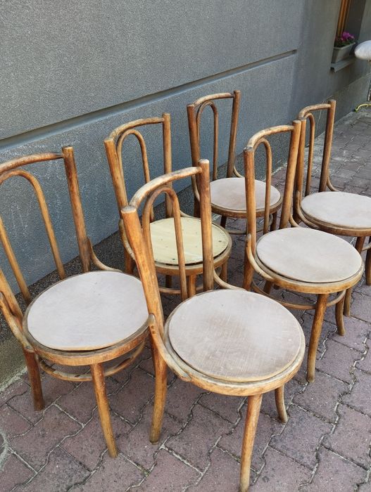 Krzesła 4 szt Thonet Fameg