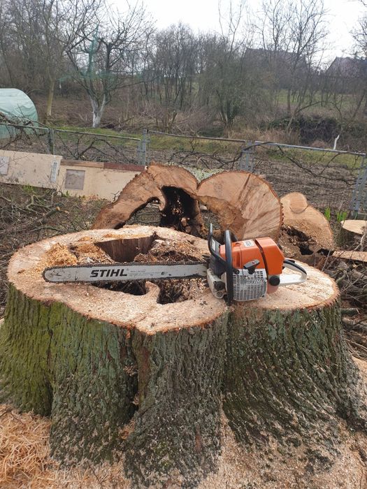 Wycinka Drzew. Prace Ogrodnicze. Pielęgnacja Ogrodów.