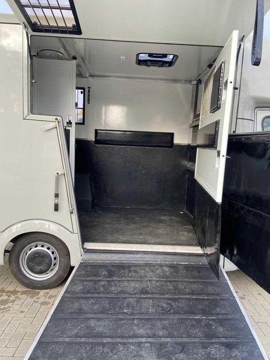 Renault transportador de cavalos 1-2 cavalos, ano de fabrico 2024