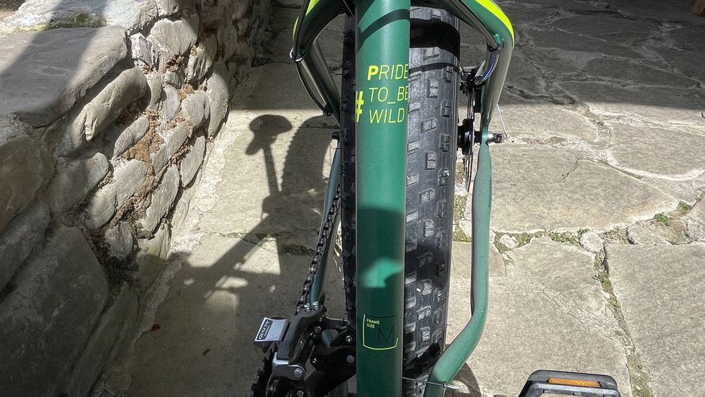 Pride Domut рама розміру L