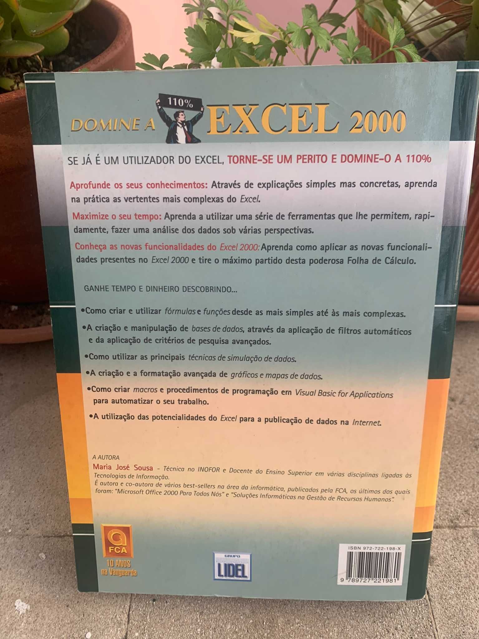 Domine a 110% Excel 2000