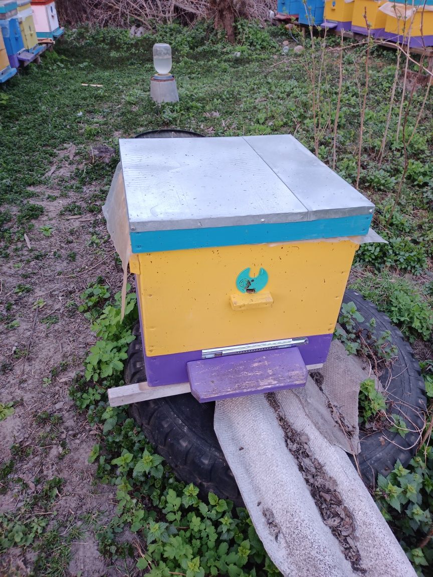 Пасіка з бджолами і інвентарем Нова!