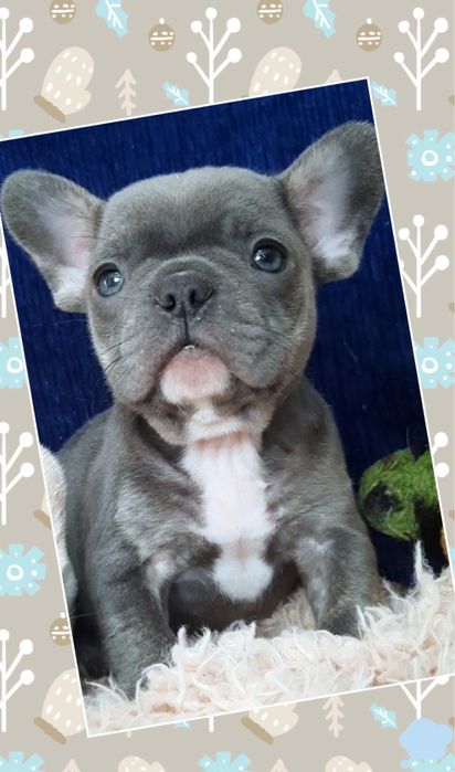 Счастье есть! Голубой мальчик