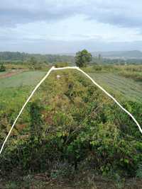 Terreno para venda