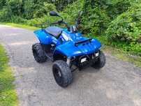 Polaris Trailboss 325 #nie bashan/kymco/linahi