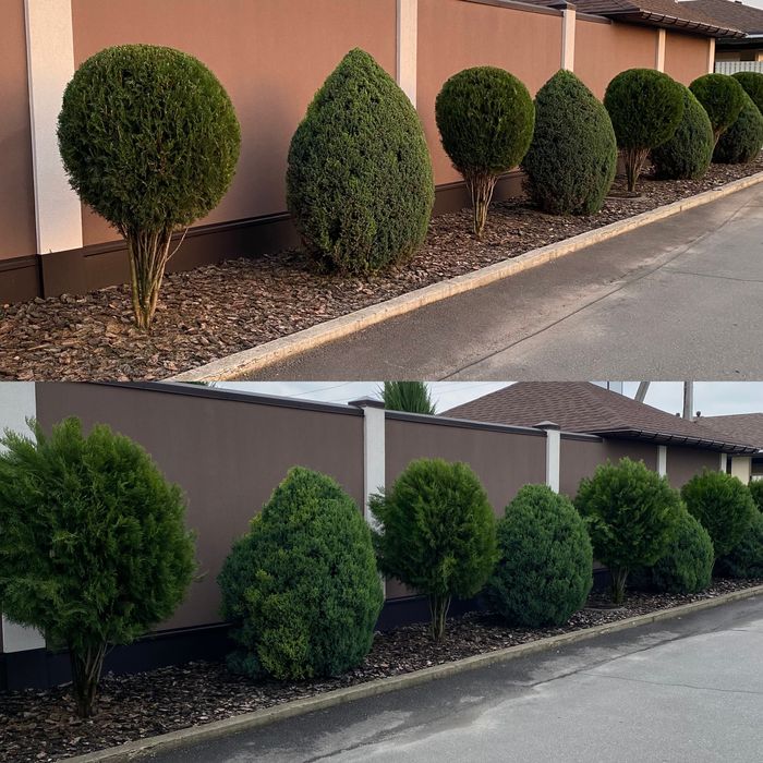 Посадка/Пересадка растений,Услги садовника,Подготовка участков к зиме