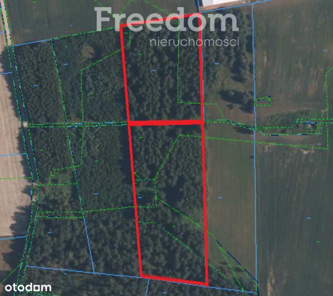 Działka 2 ha (20 000 m2) w Dąbrówka Niwka