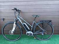 Rower Elektryczny Pegasus 28" Bosch 1x8 Shimano Deore  Amor 2xT LED