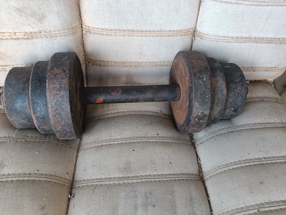 Гантели стальная 10 кг