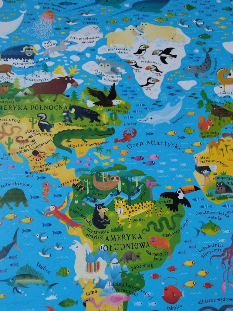 Puzzle plus książka kontynenty