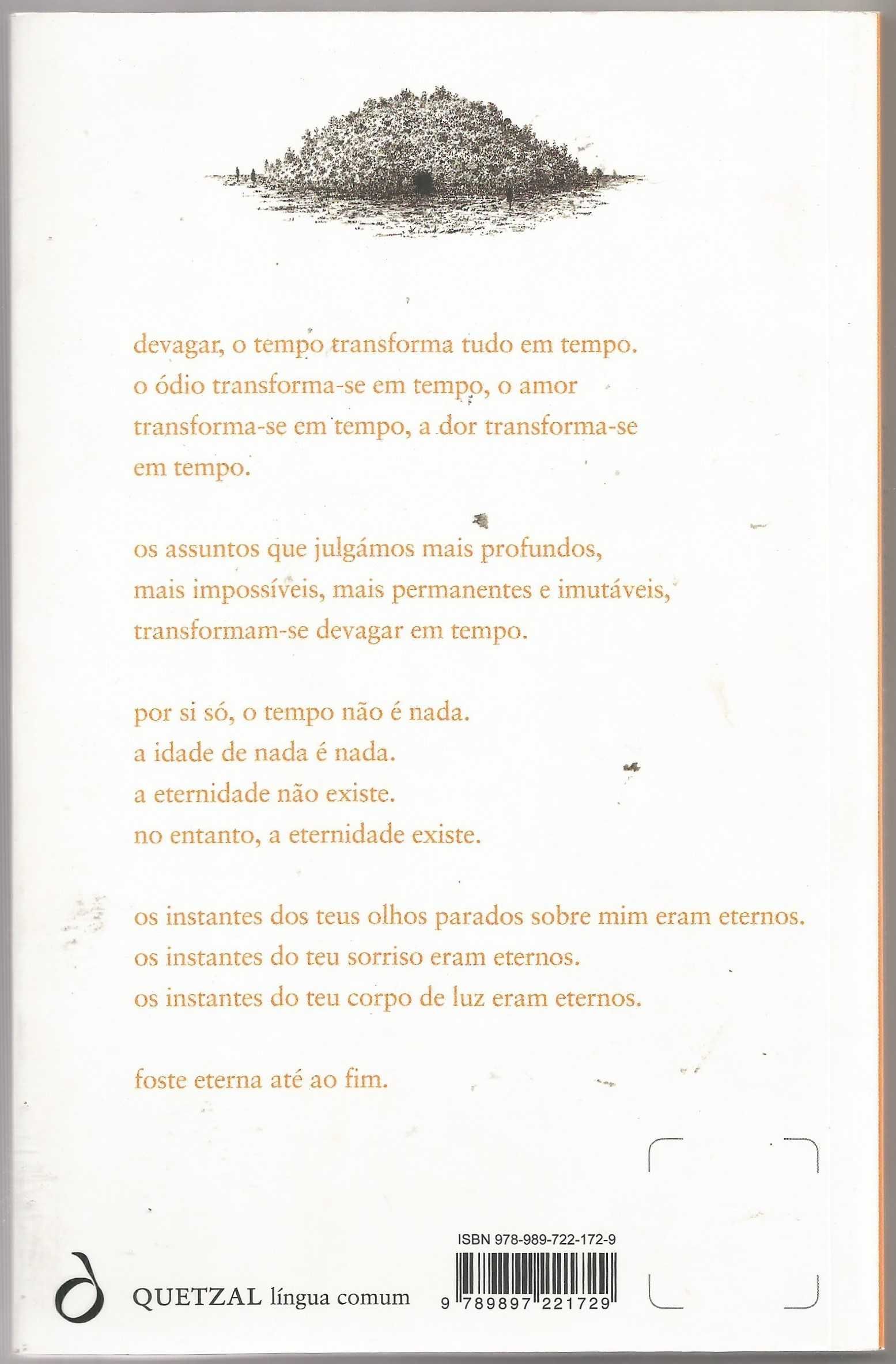 José Luís Peixoto - A casa, a escuridão (poesia) - Portes Grátis