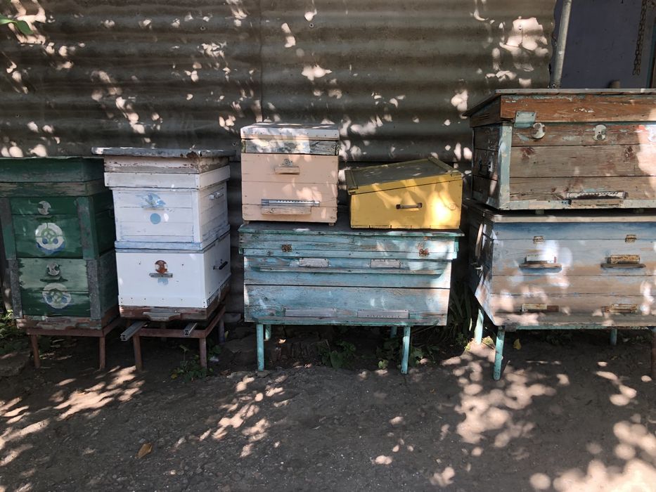 Продам вулики, пасіка