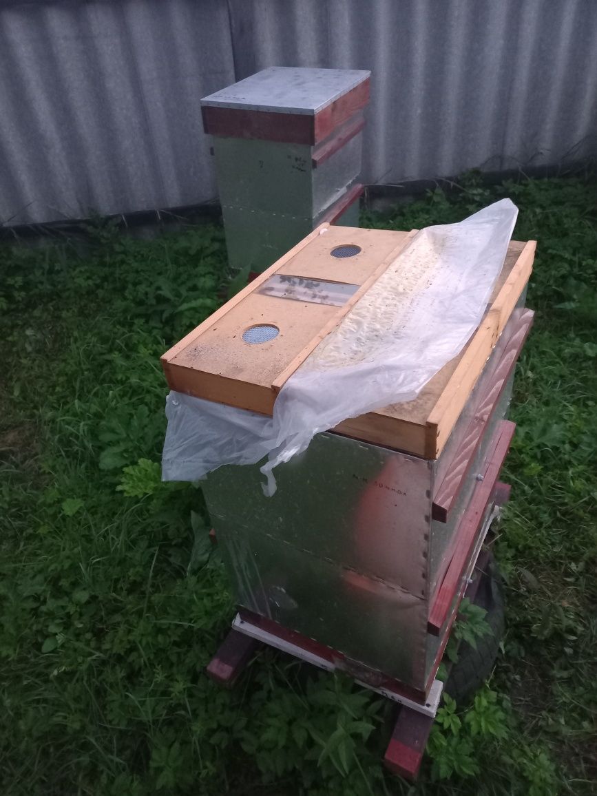 Вулики корисні 8 рамочні