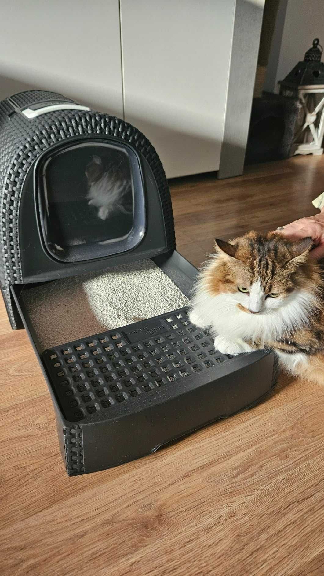 Nowoczesna kuweta dla kota kot dom zwierzęta ciemna duża rattan