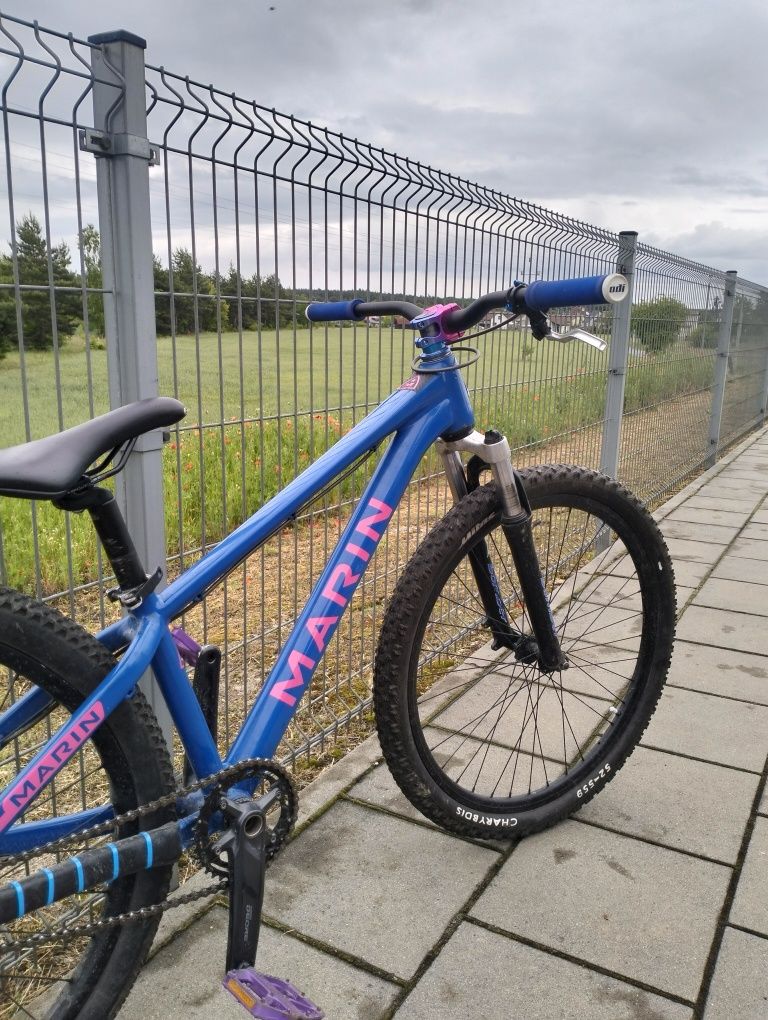 Marin Alcatraz dirt 26"