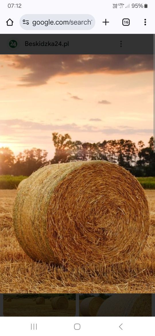 Sprzedam słome 2025