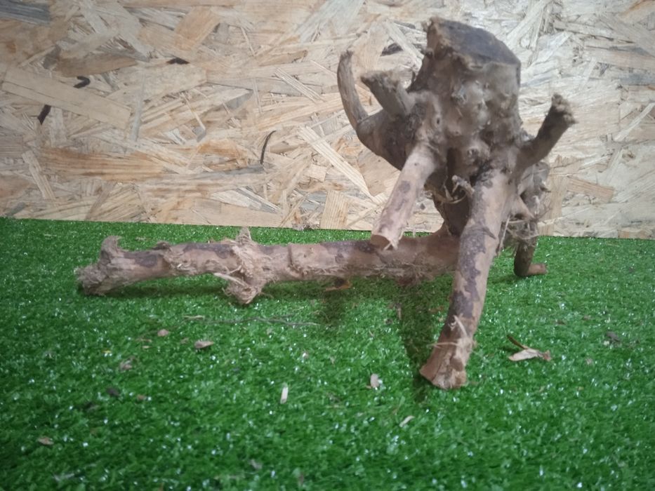 Korzeń do akwarium Red Moore Wood nr 714 o wymiarach 28/21/20