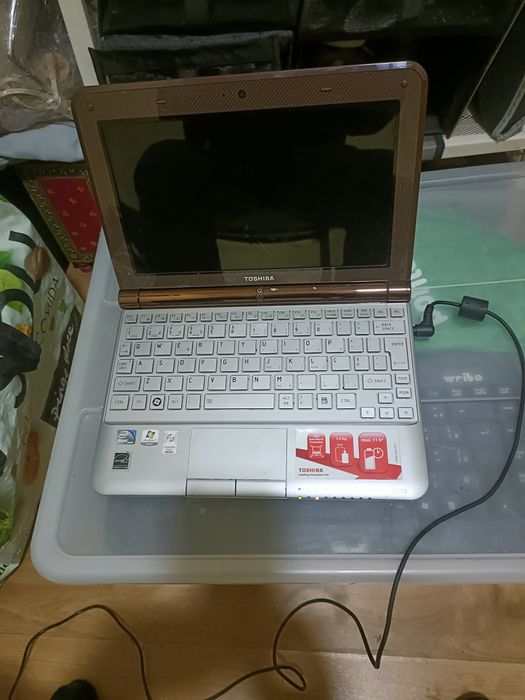 Toshiba NB 305 de 10 pulgadas