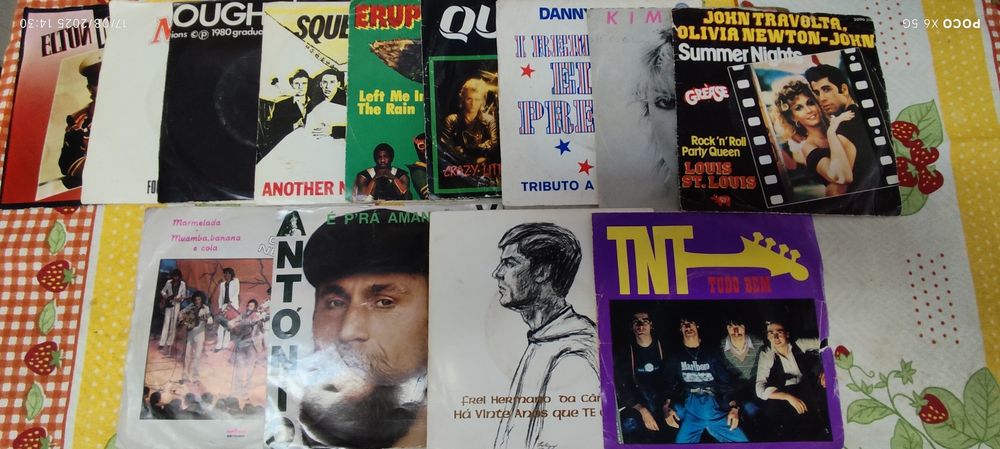 Lote de 13 Discos singles