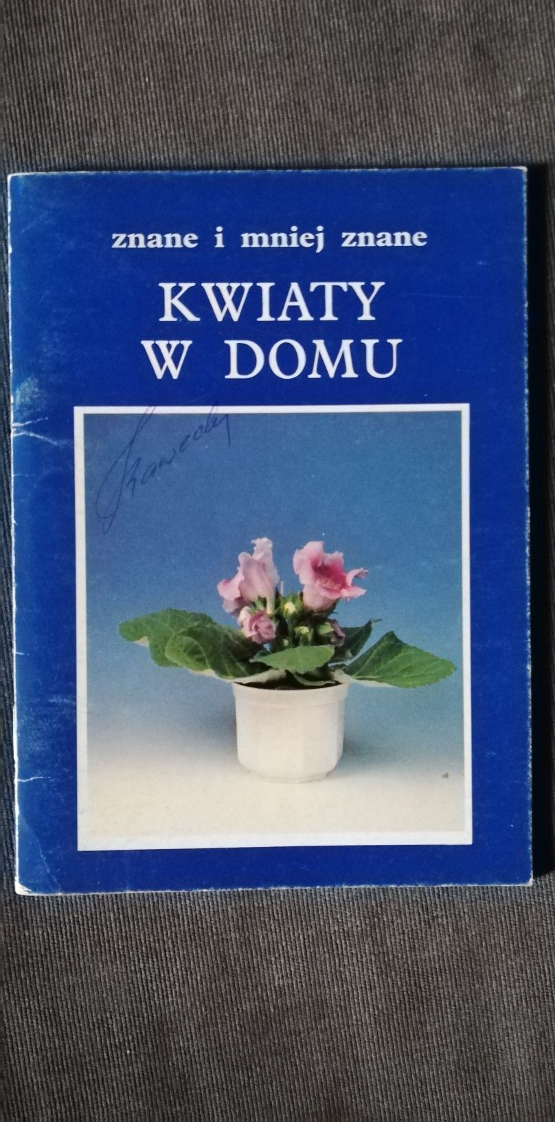 Kwiaty w domu znane i mniej znane