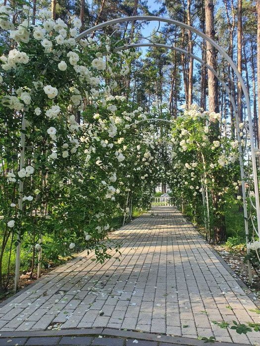 2-кімнатна квартира біля парку та лісу! РОЗТЕРМІНУВАННЯ без %!