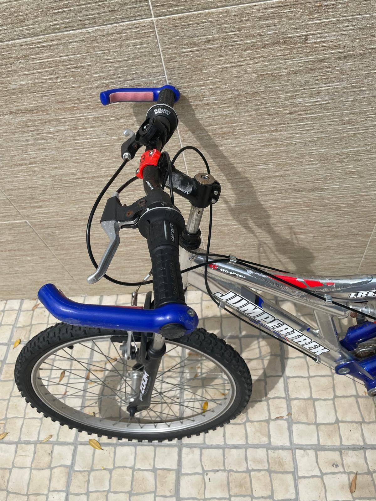 Bicicleta adulto