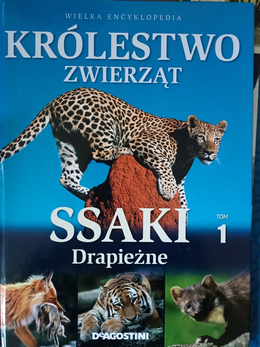 Książki o zwierzętach konie ssaki psy gady, zwierzęta hodowlane