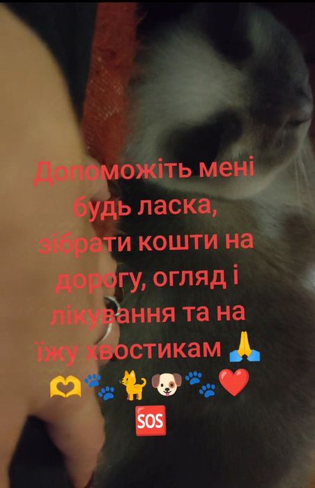 Дуже терміново потрібна ваша допомога.