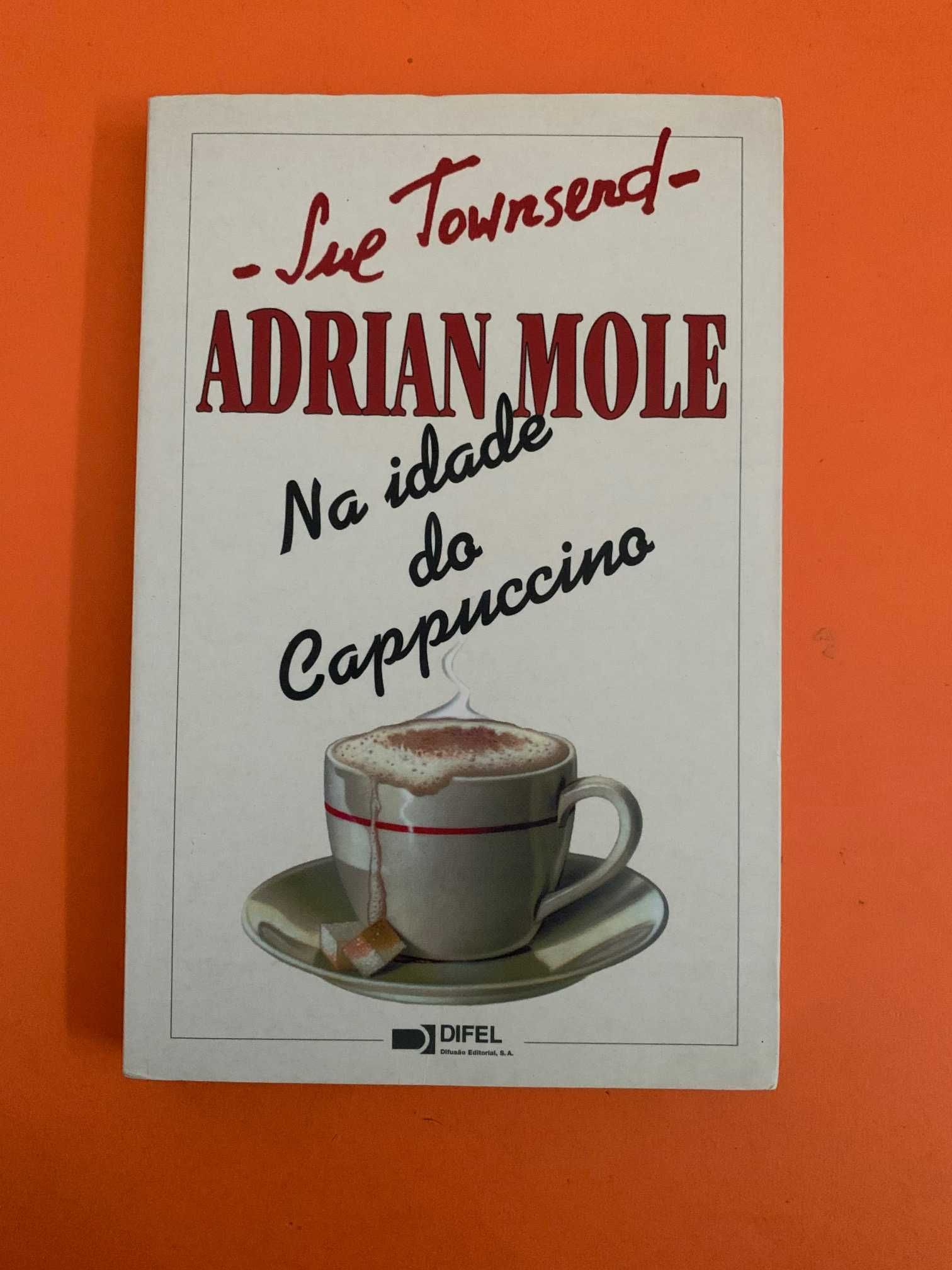 Adrian Mole: Na idade do Cappuccino - Sue Townsend