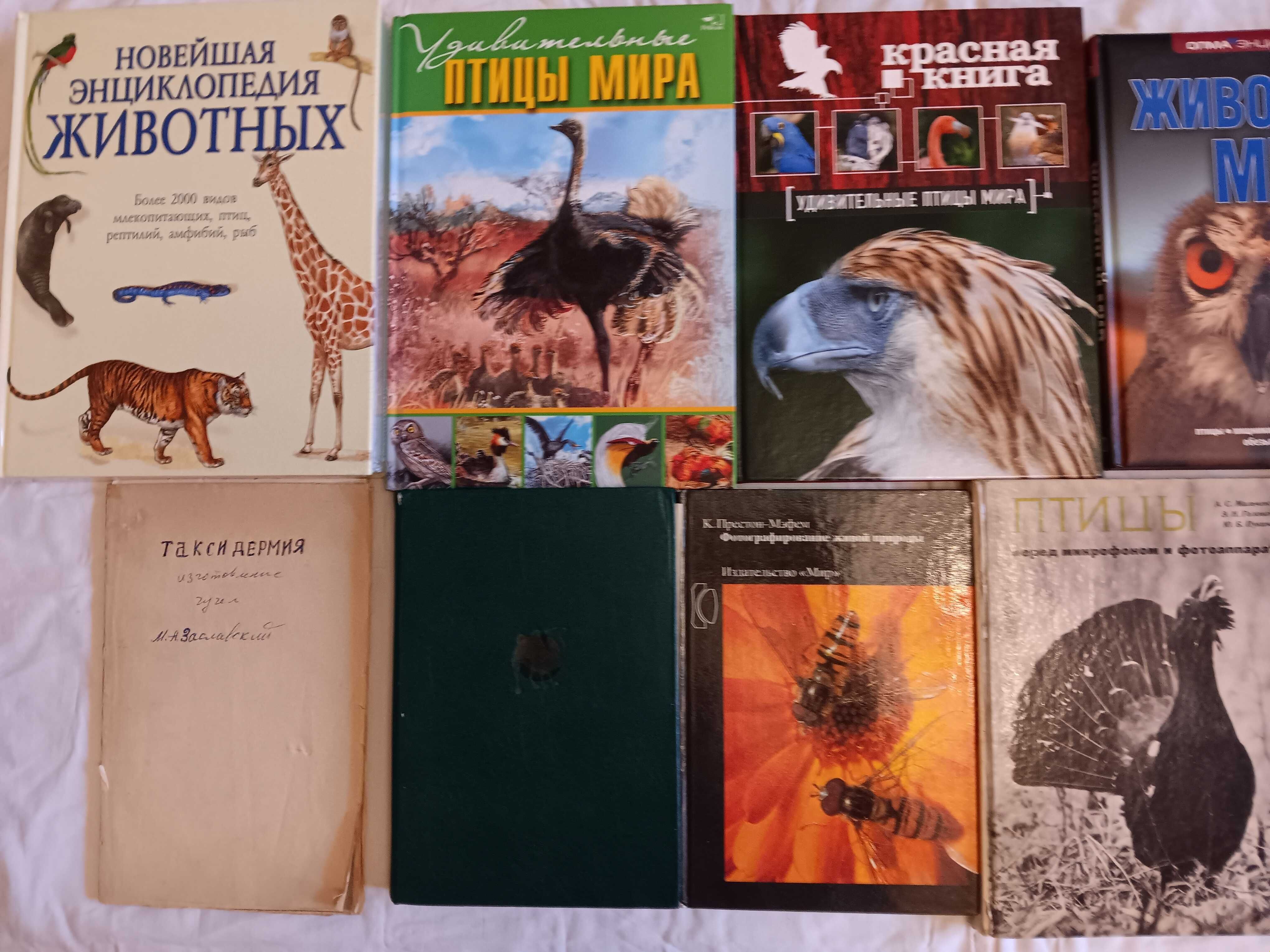 энциклопедия животных птиц планеты Красная книга Соседи по планете