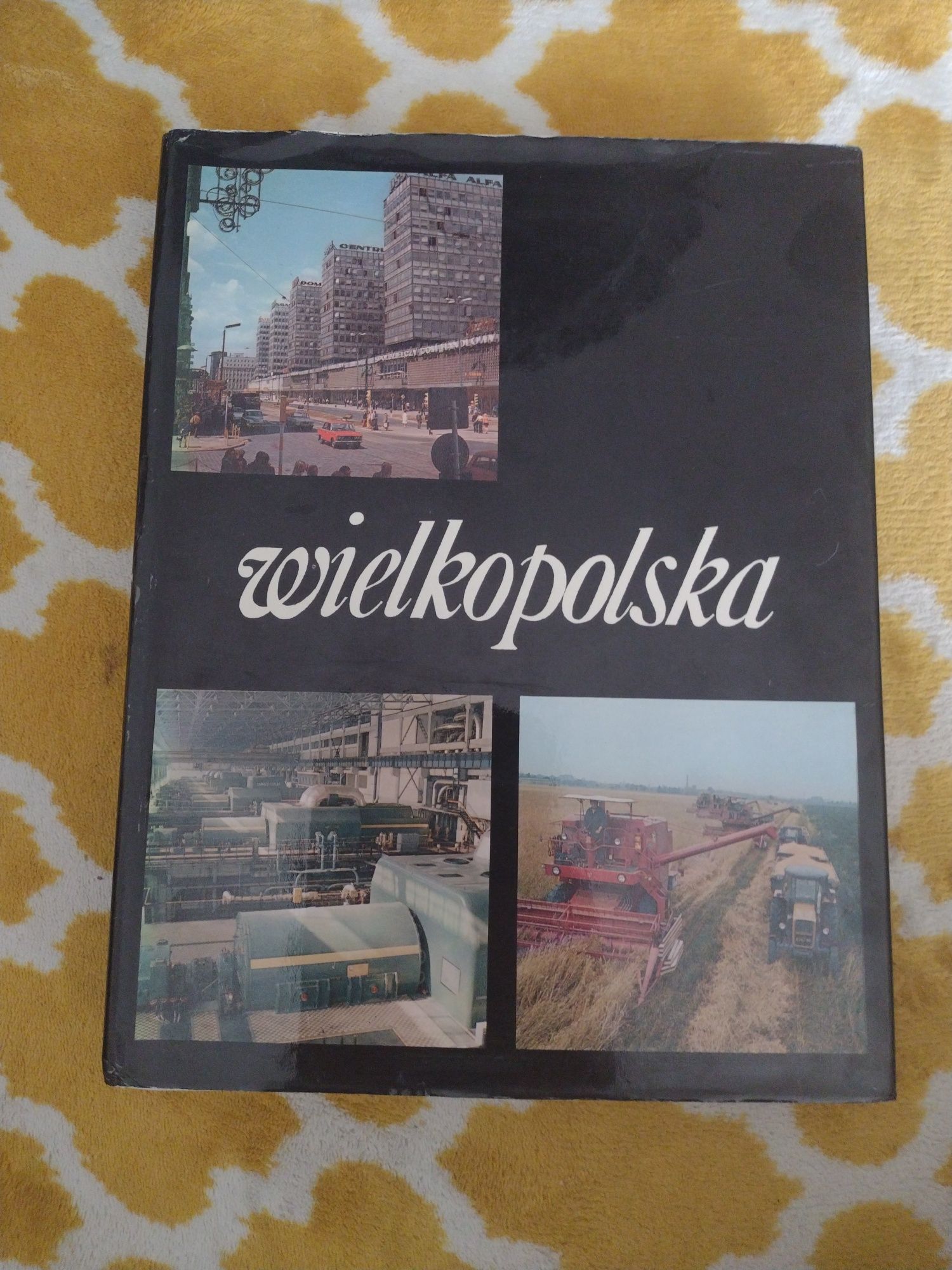 Wielkopolska - ilustrowana duża książka