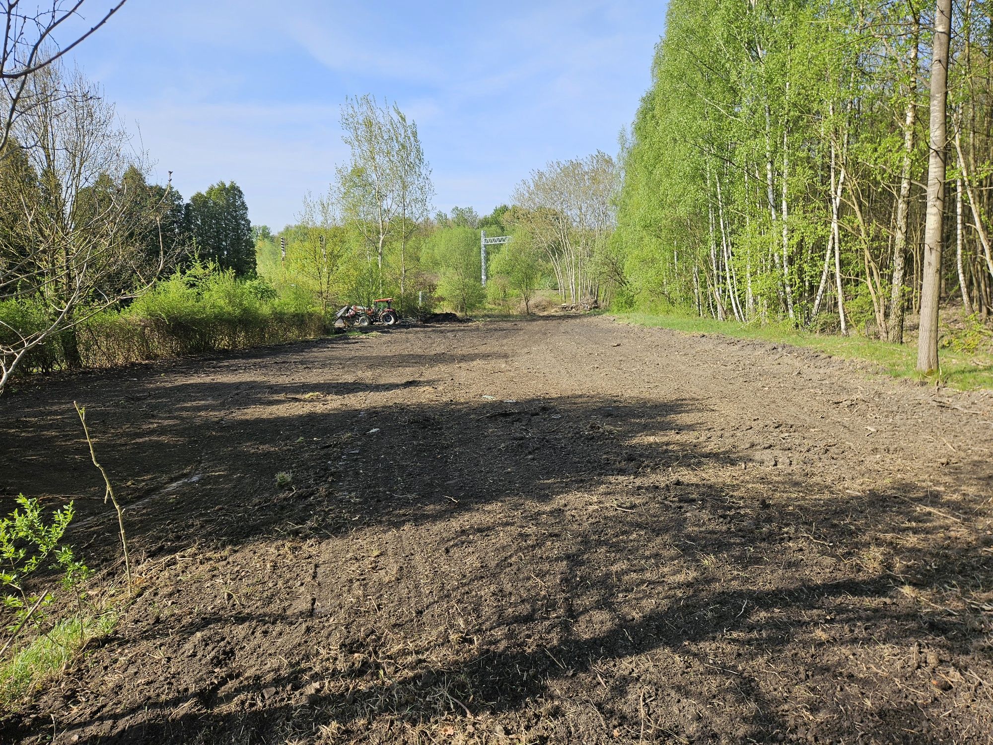 Wycinka drzew , karczowanie,, koszenie traw