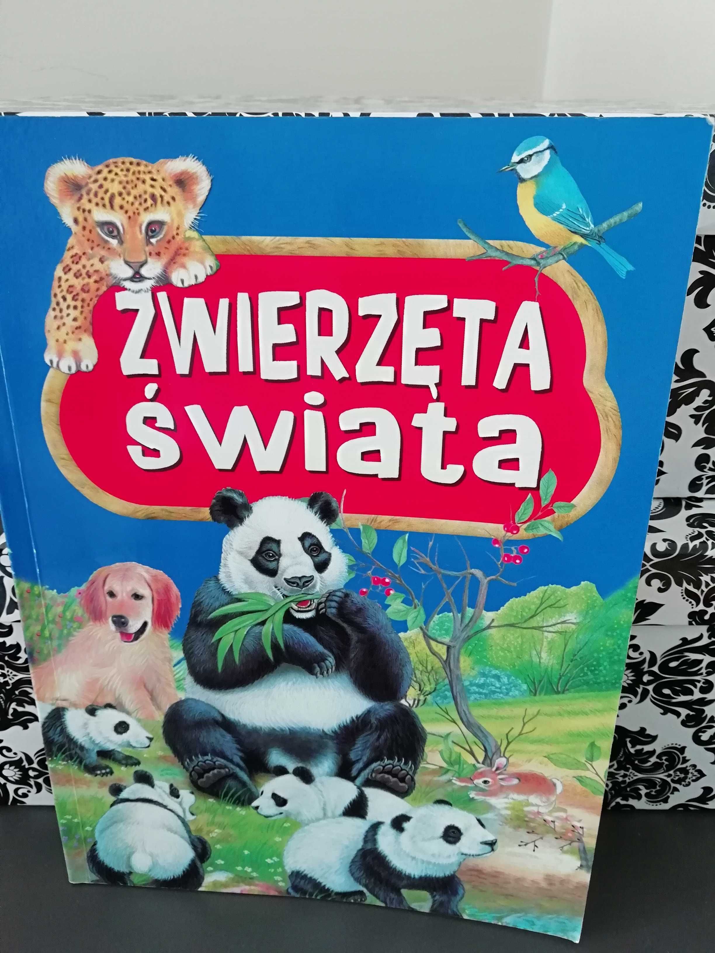 Książki dziecięce