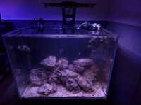Akwarium morskie 60x50x50 lampa panel filtracyjny skała
