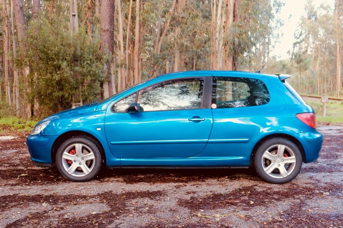 Peugeot 307 1.6 GPL