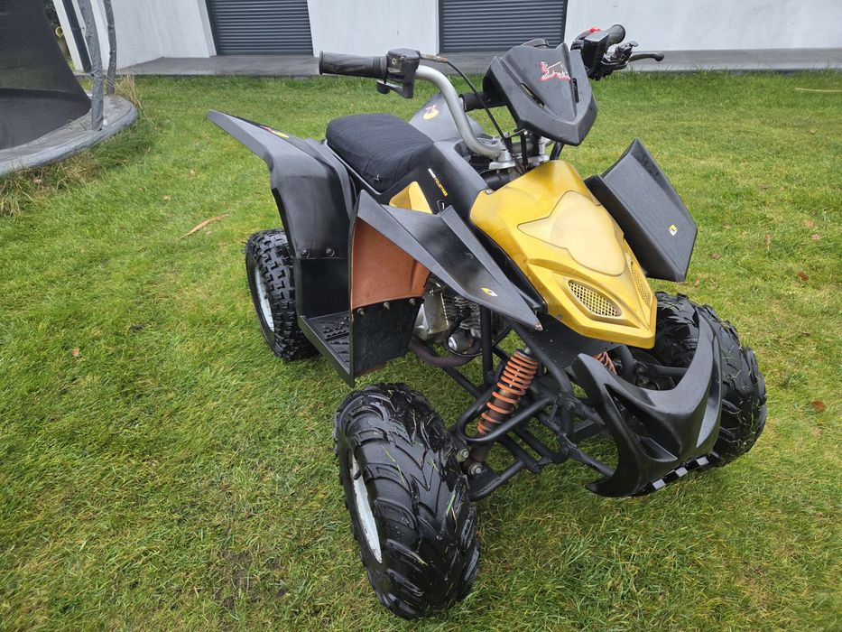 Quad 110ccm automat