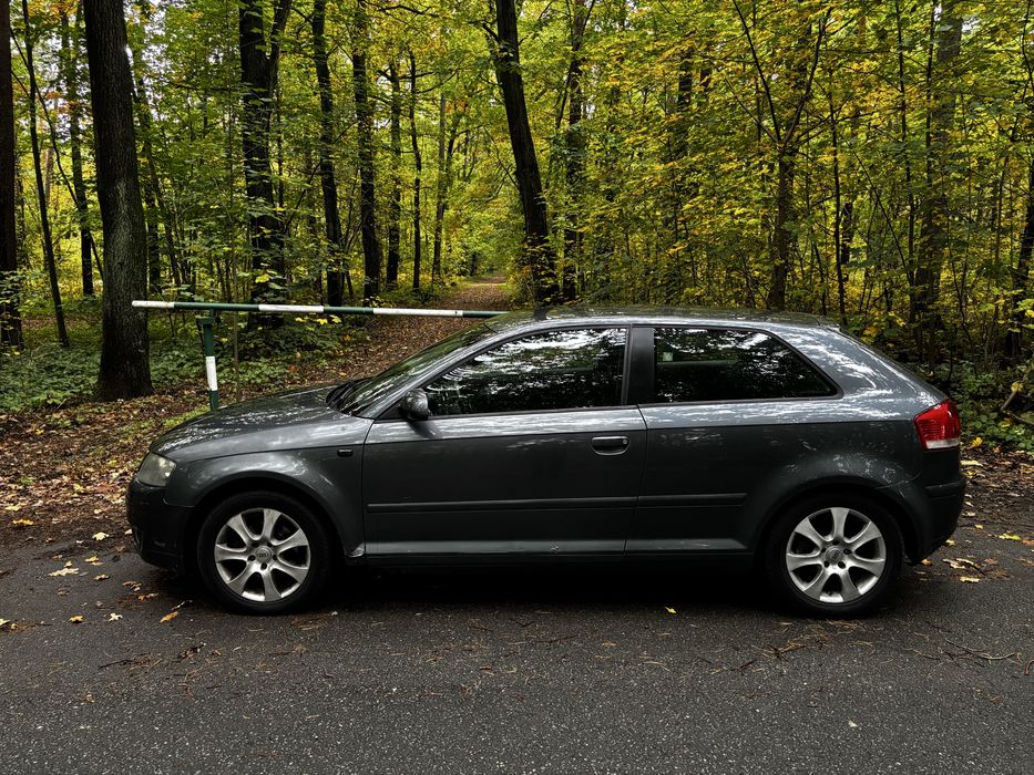 Audi A3 8p 1,6+Lpg