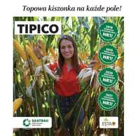 Nasiona kukurydzy kukurydza TIPICO Darmowa wysyłka