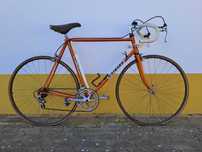 Bicicleta de competição para colecionador