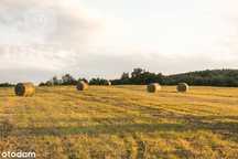 Sprzedam  łákę 7200 M2 w Głoskowie kolo Piaseczna